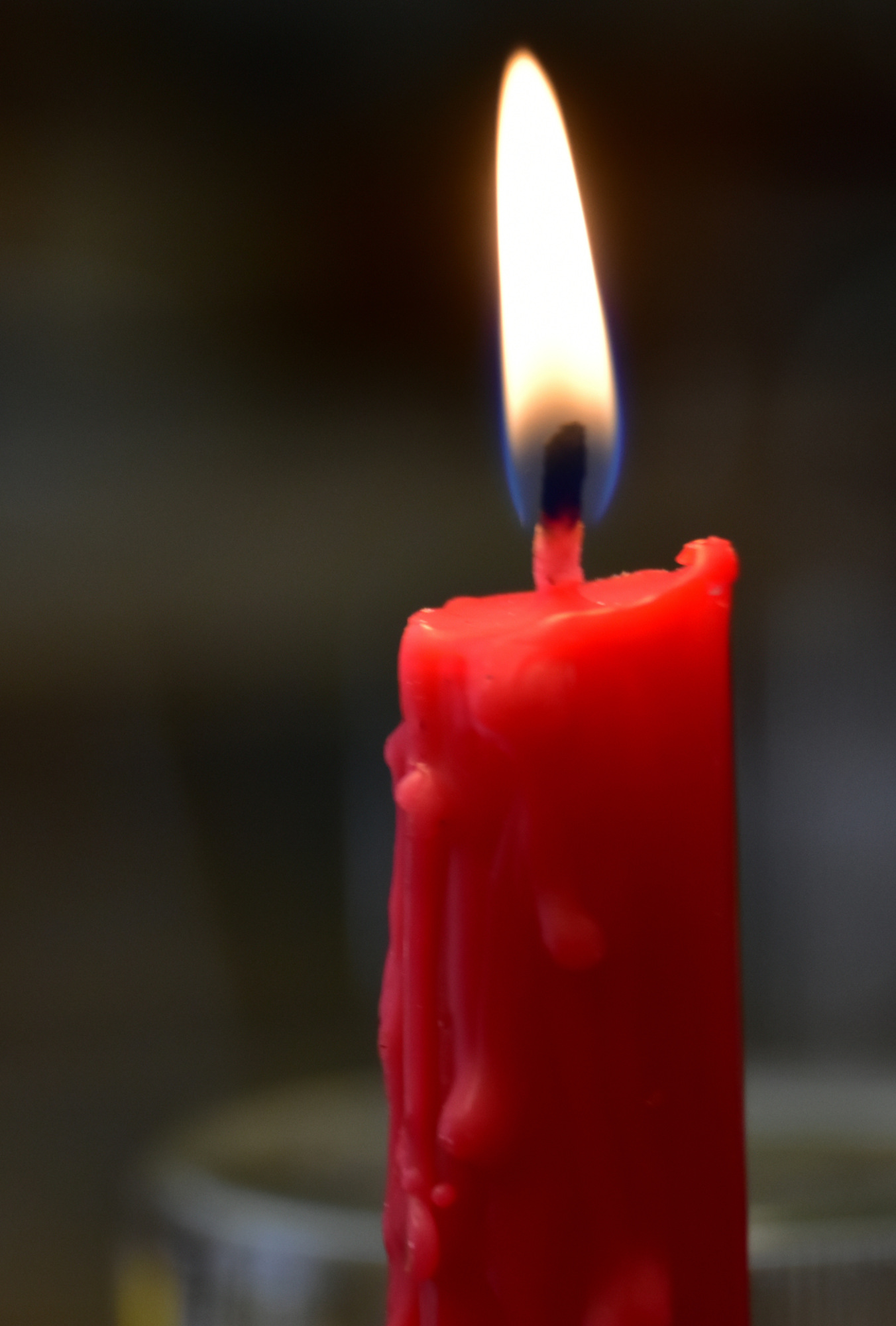Candle.Lab_005 (552K)