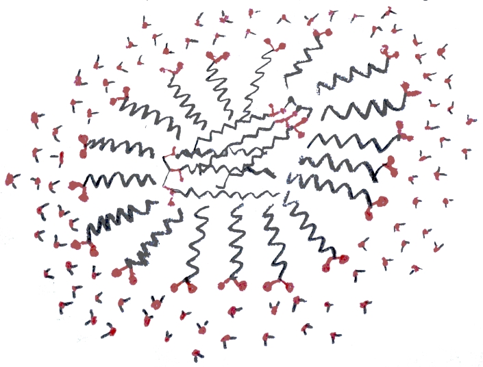 Micelle.surrounds.2.triglycerides (226K)