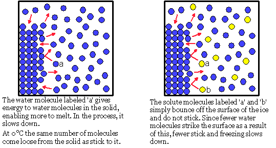 Water-Solution.Ice.Equilibrium (9K)