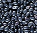 black.beans (17K)