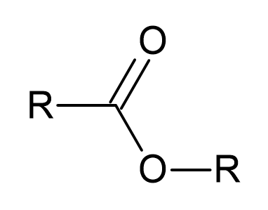 Ester (7K)